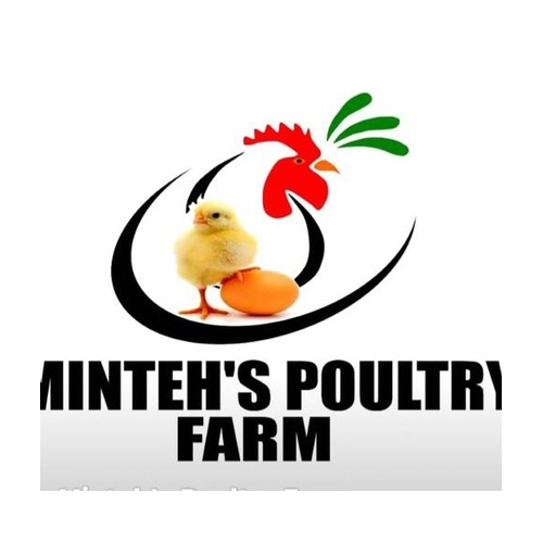 Minteh's Poultry Farm client brand logo